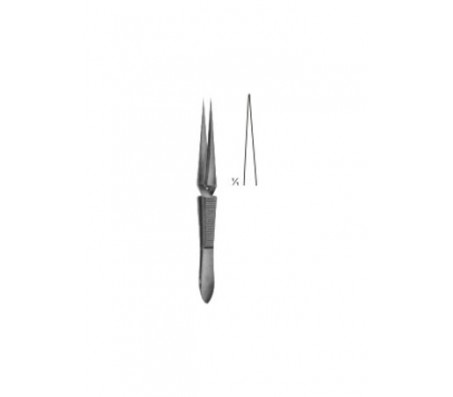 Forceps